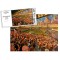 Hull City FC Boothferry Park Stadium Fine Art Jigsaw Puzzle